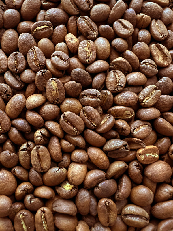 ethiopia sidama ayla bombe light roast