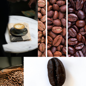 Elevate Your Coffee Game: The Ultimate Guide to Plant-Based Milk Alternatives for 2024