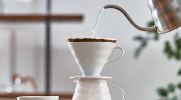 Bee House vs. Hario V60: Which Dripper is Right for You?