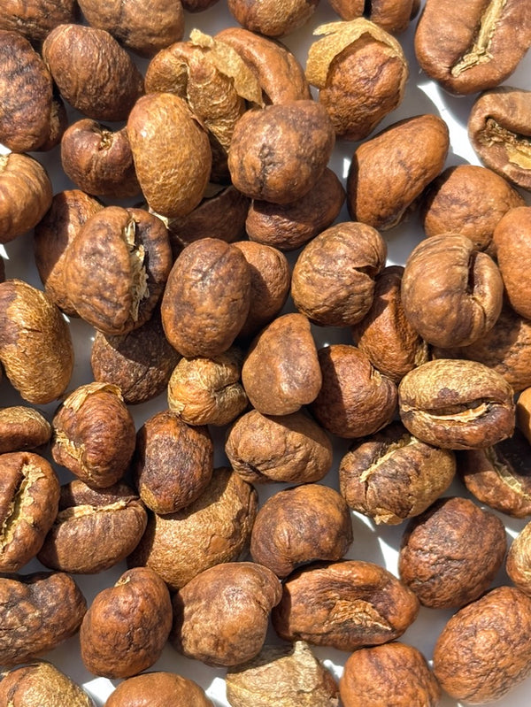 tanzania mutawari peaberry light roast
