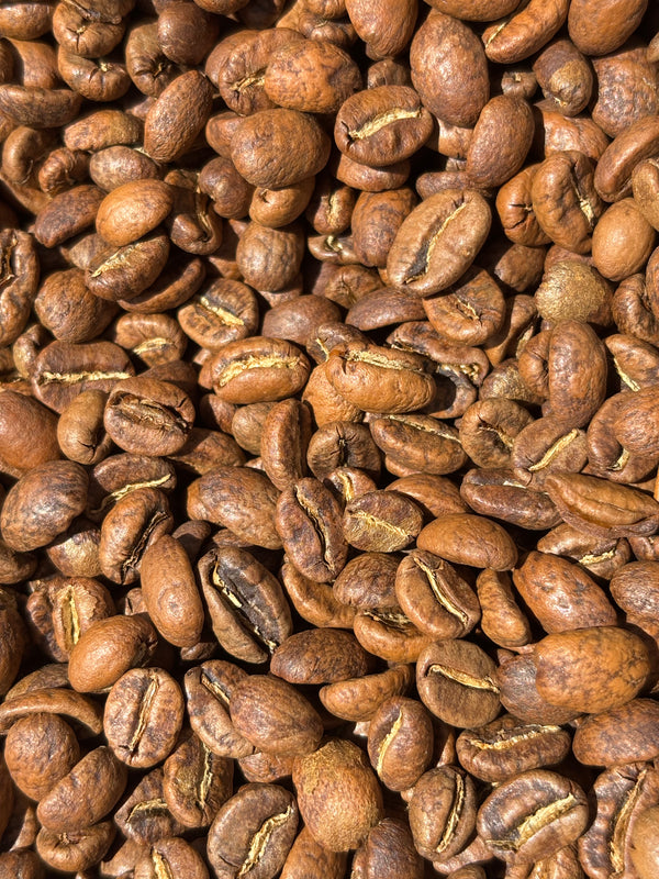 honduras san vicente geisha light roast